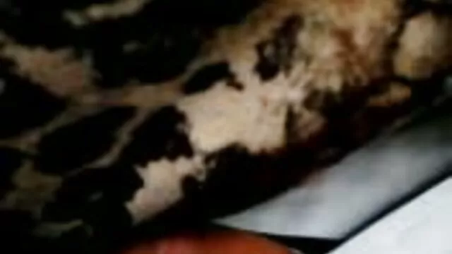 Schwangere fickt sich Selbst mit reife frauen gratis video einem Vibrator!
